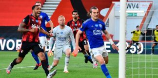 ผีแดงยิ้ม จิ้งจอกสยามพลาดสะดุดตามสิงห์บลูส์