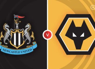 วิเคราะห์บอล นิวคาสเซิล VS วูล์ฟแฮมป์ตัน พรีเมียร์ลีก สาลิกาพร้อมอัดหมาป่าเตรียมคว้าสามแต้ม